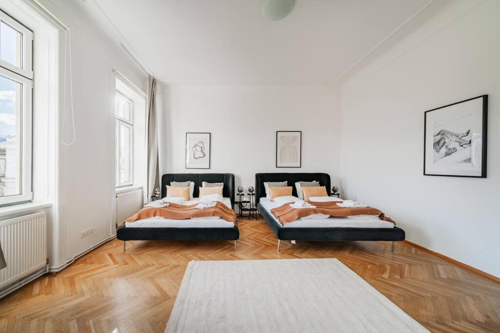 City Chic #11 Vienna Esterno foto